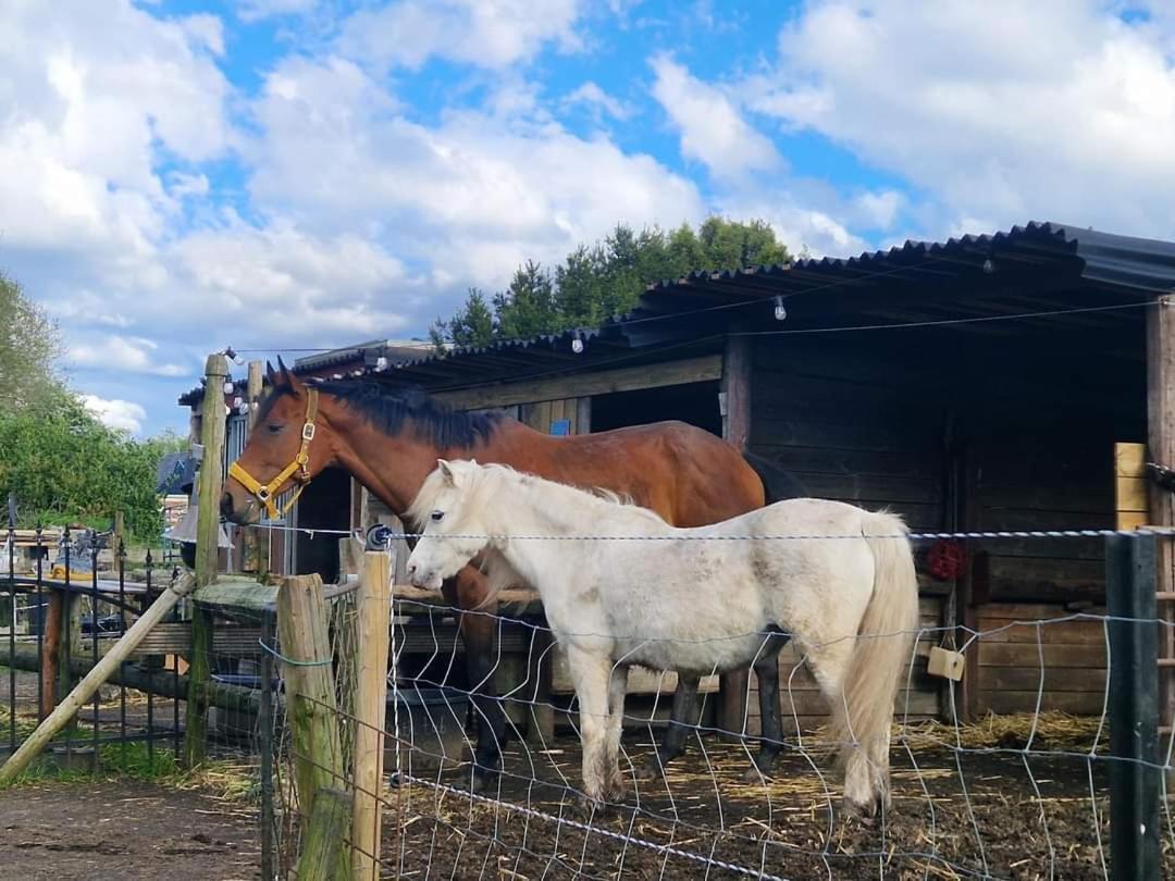 Campeggio Tipi Luna
