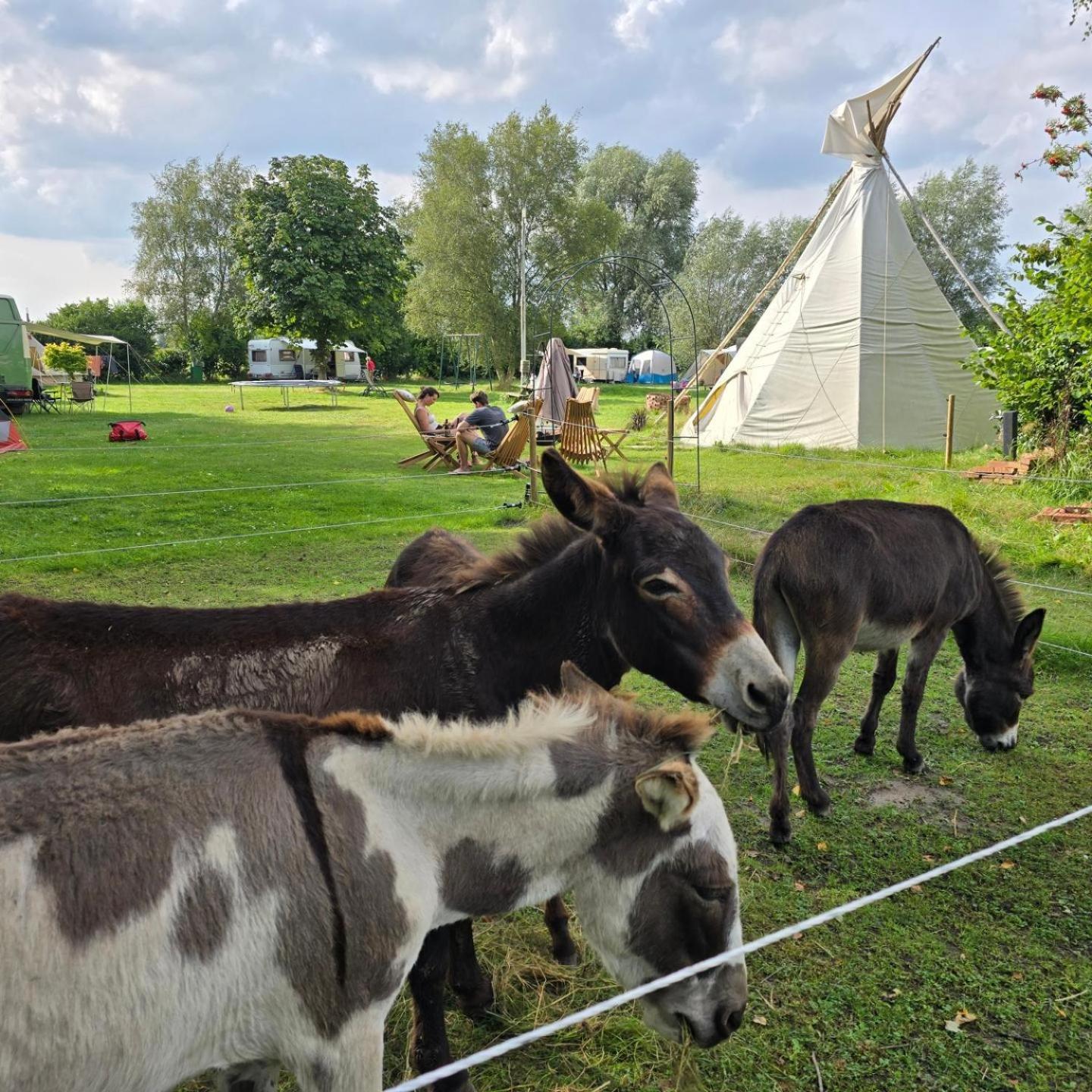 Tipi Luna * Kropswolde